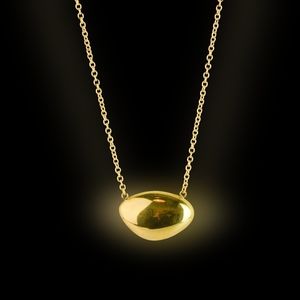 NWT gold tone necklace